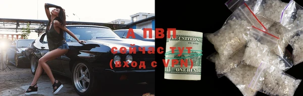 гашик Сосновка