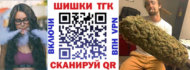 купить наркотики цена  Карачаевск  Каннабис сатива 